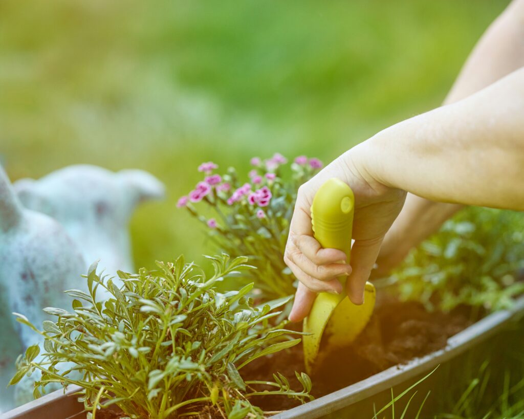 A Seasonal Guide to Garden Care for Every Climate