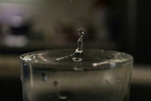 Top 7 Mistakes to Avoid When Watering Your Plants