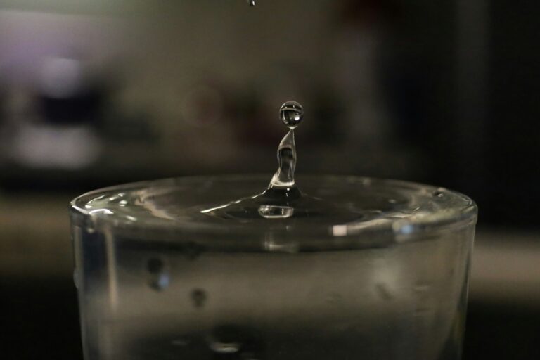 Top 7 Mistakes to Avoid When Watering Your Plants