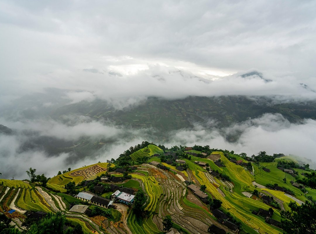 How to Organize Your Garage Livpristhouse