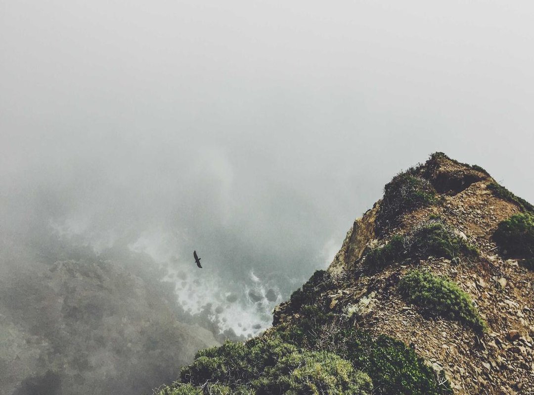 Common Mistakes and How to Avoid Them