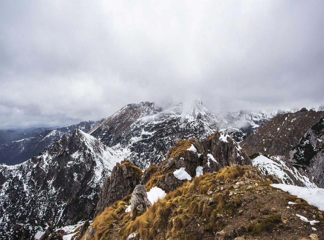 What Makes the Peso Exchange Rate Fluctuate?