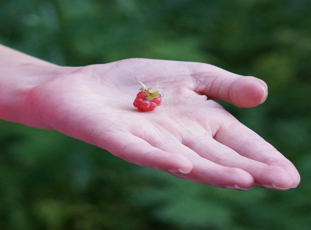 You're Now Ready to Conquer Any Puzzle