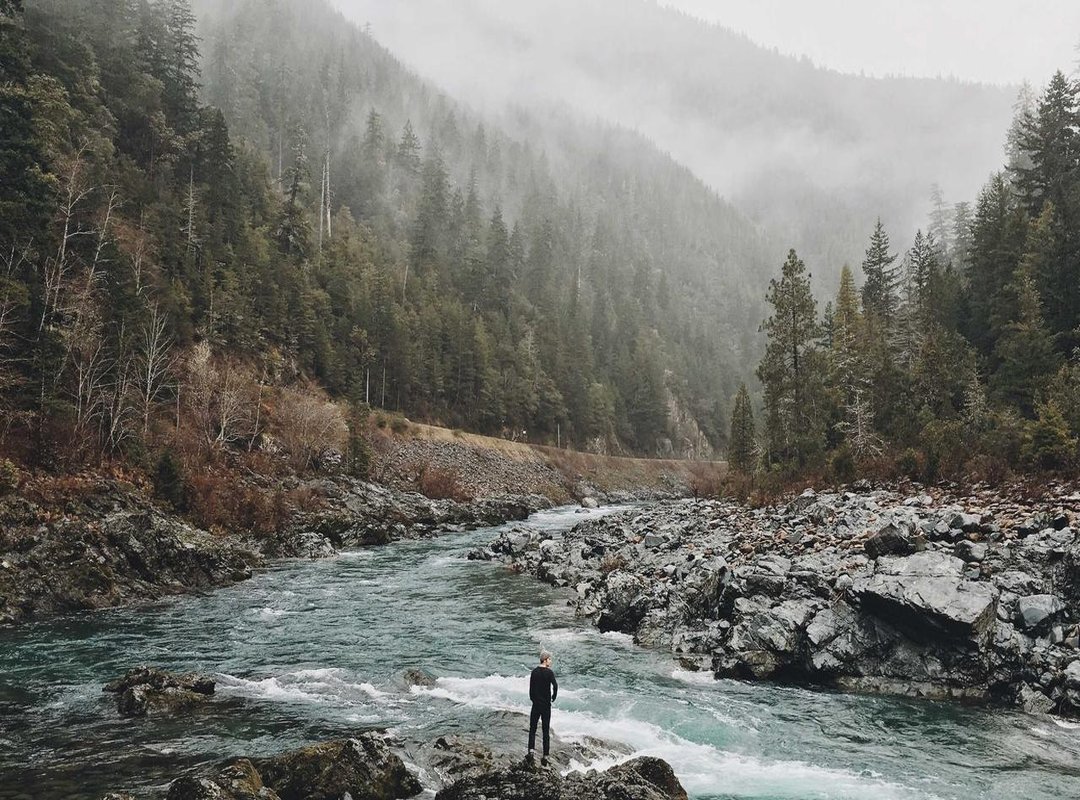 Why You See UF Everywhere: Real Estate, Loans, and Investments