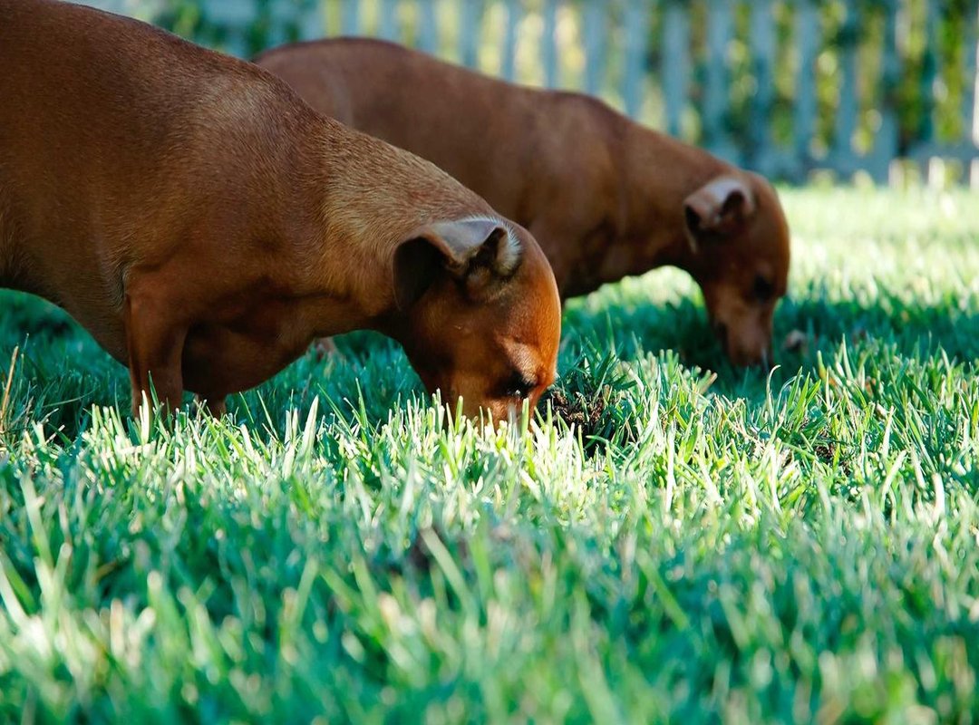 The Aftermath: Global Reactions and Fallout