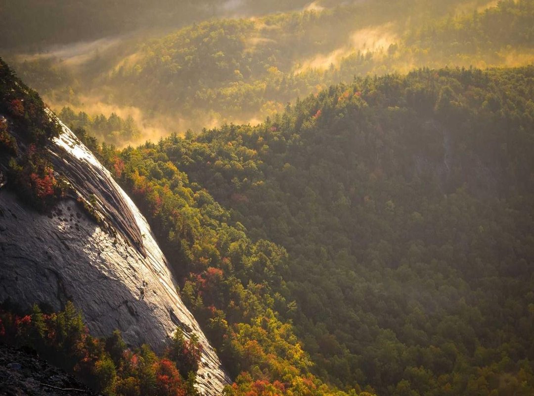 What NOT to Use: Common Swaps That Can Ruin Your Dish