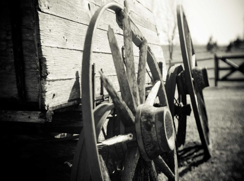 analise milton instagram