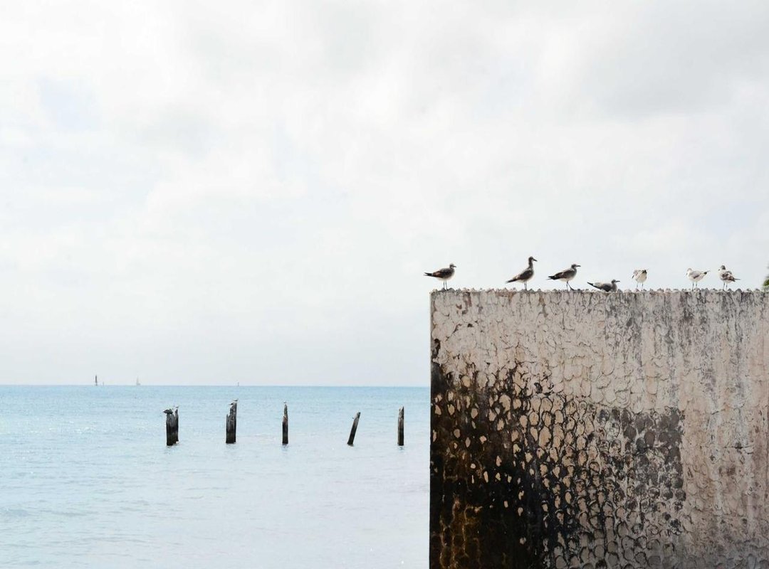 Frequently Asked Questions (FAQs)