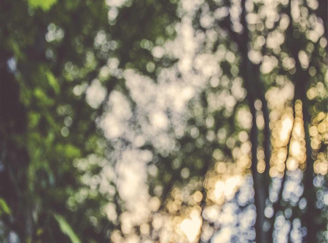 5 Practical Things You Can Do With Chat GPT Right Now