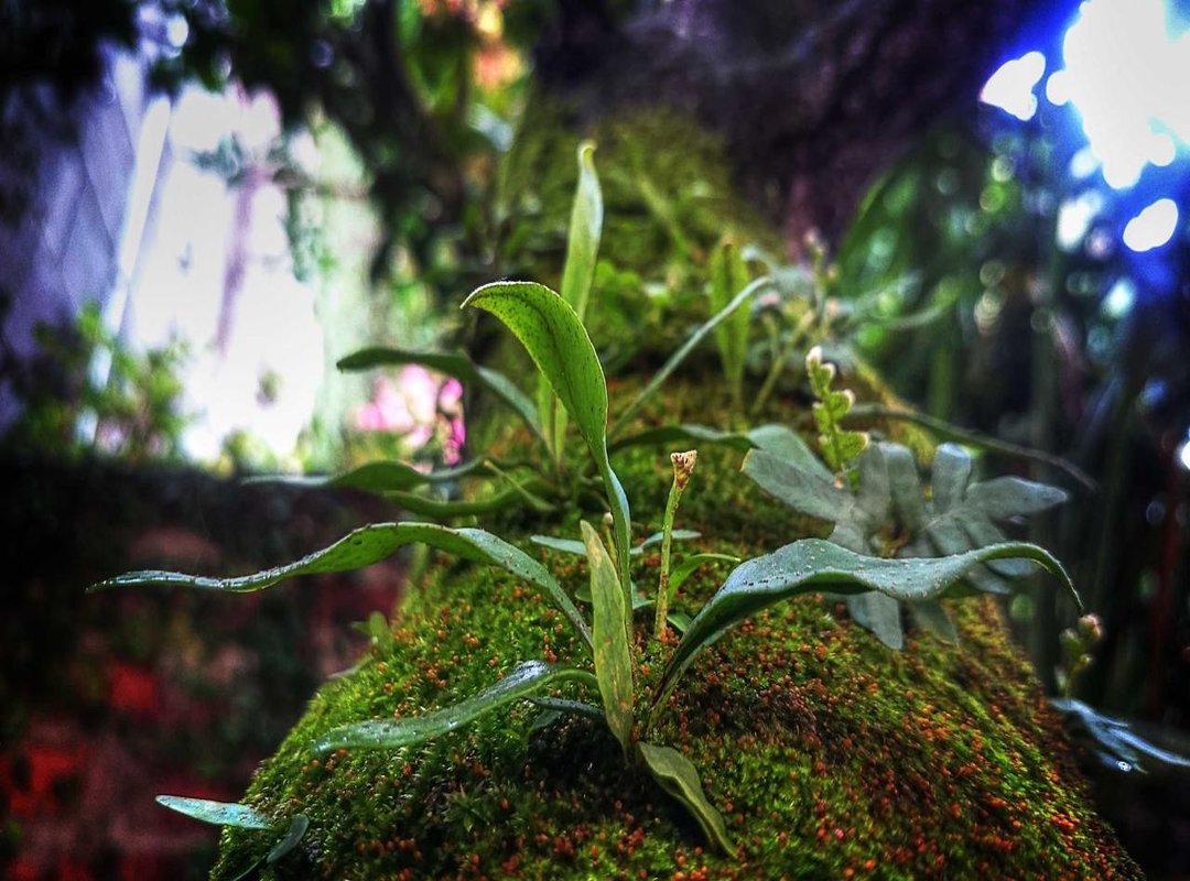 Step-by-Step Guide: How to Install the APK Safely