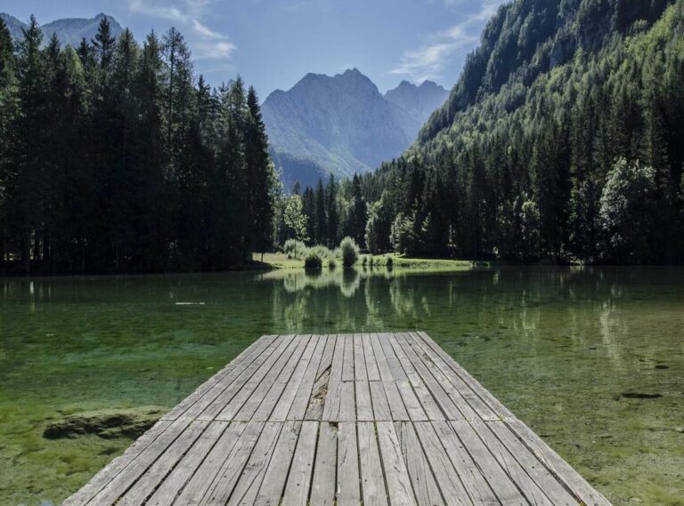 coin master free spin levvvel