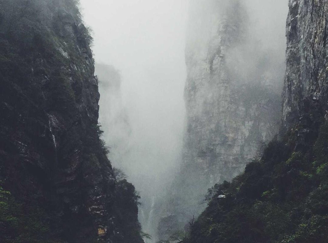 Important Considerations: Is Diziwatch a Safe Option?