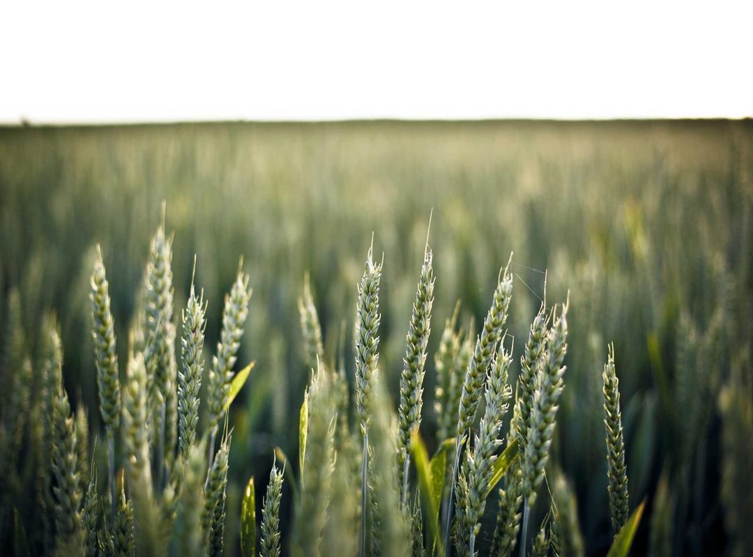 Safe Download & Installation Guide