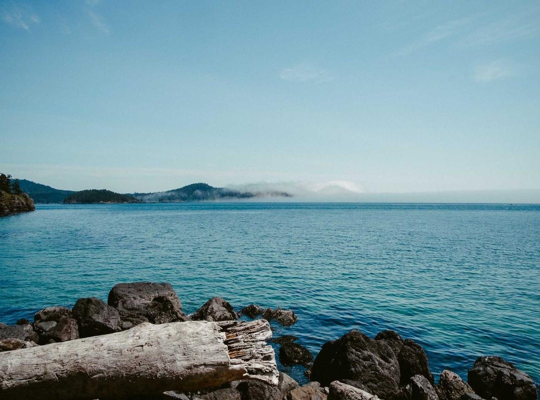 Exploring Other Platforms to Stream Hajime no Ippo