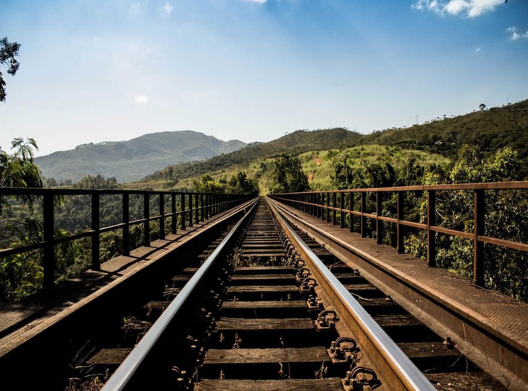 How to Use 'Pookie' in a Sentence (Without Sounding Confused)