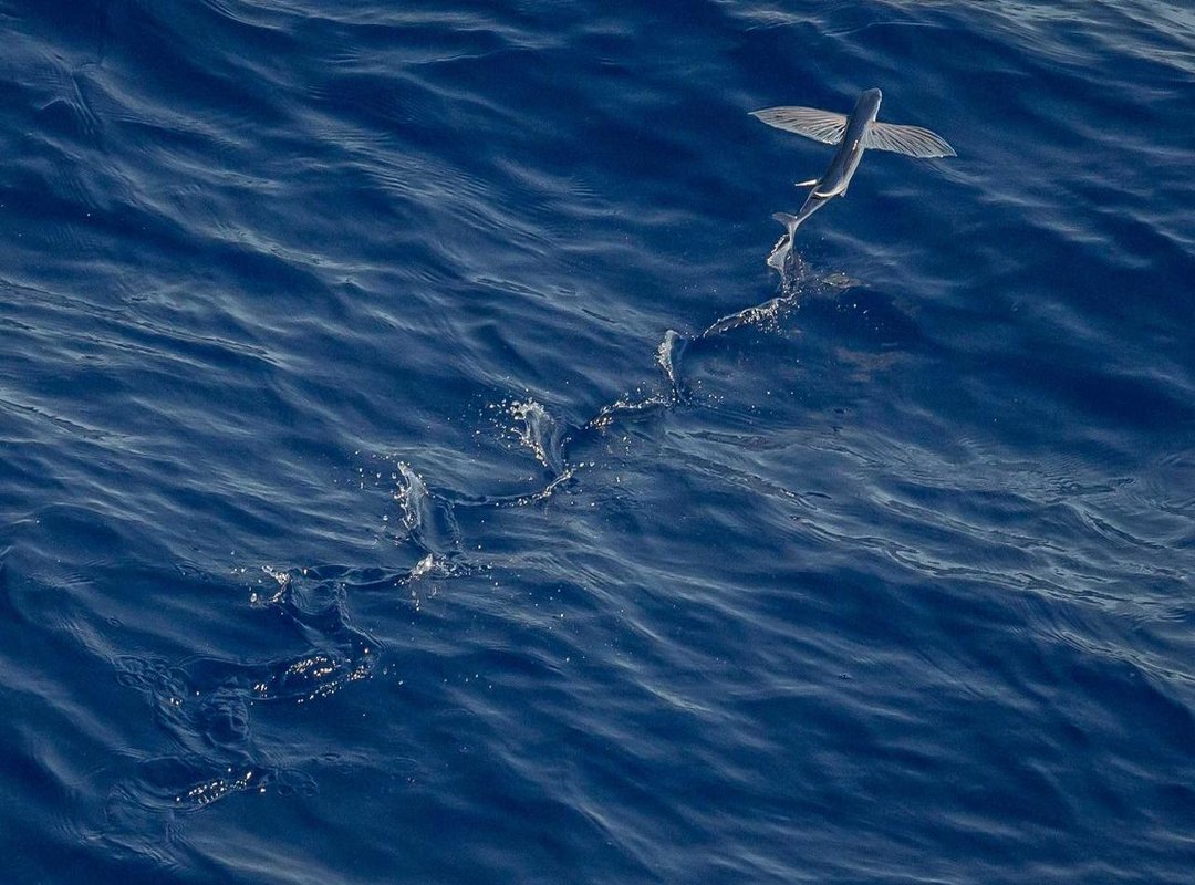 Warning Signs: How to Spot Unsafe and Low-Quality Sources