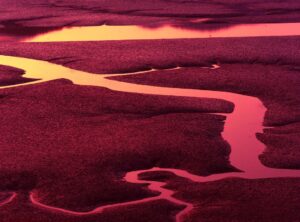 low tide twilight chapter 73