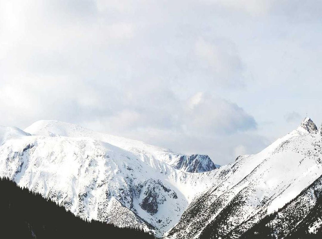 Common Challenges and Solutions