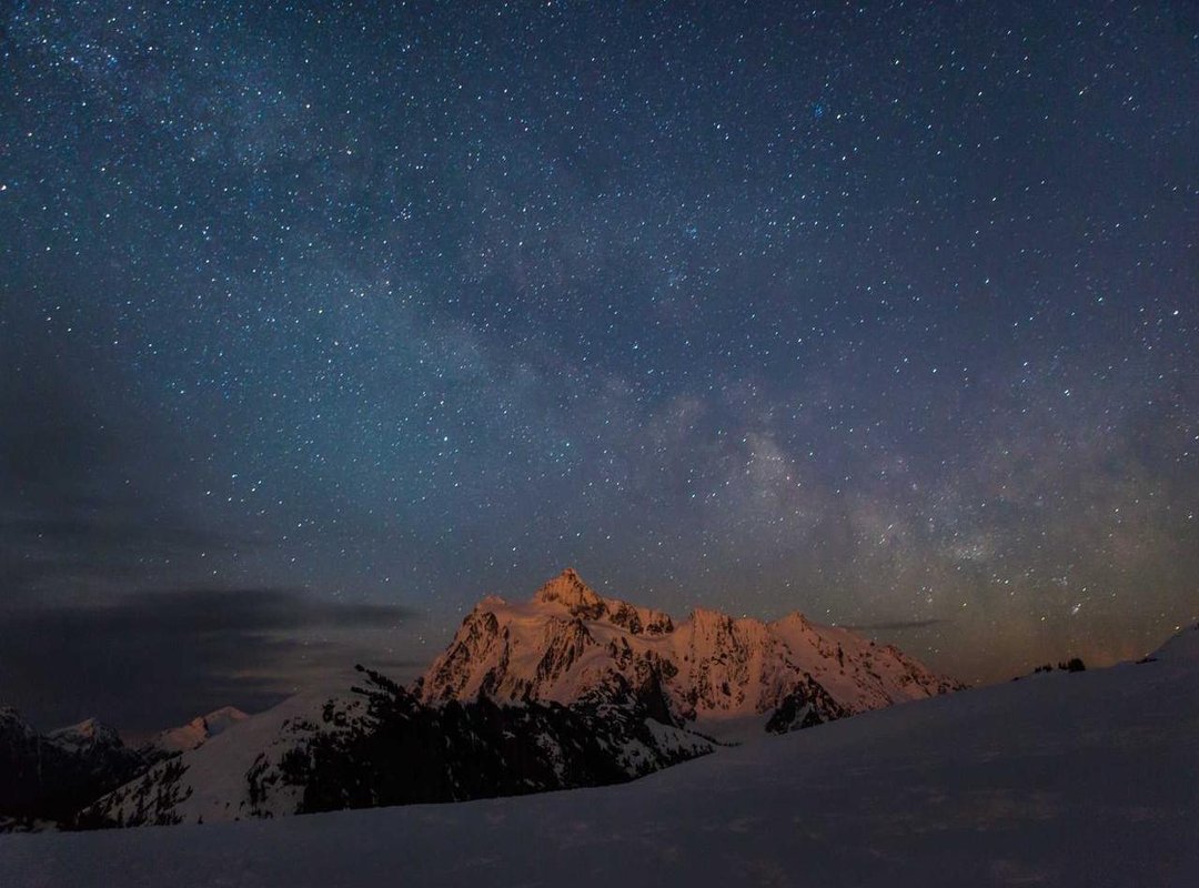 A Pattern of Disloyalty: Adding Fuel to an Unquenchable Fire