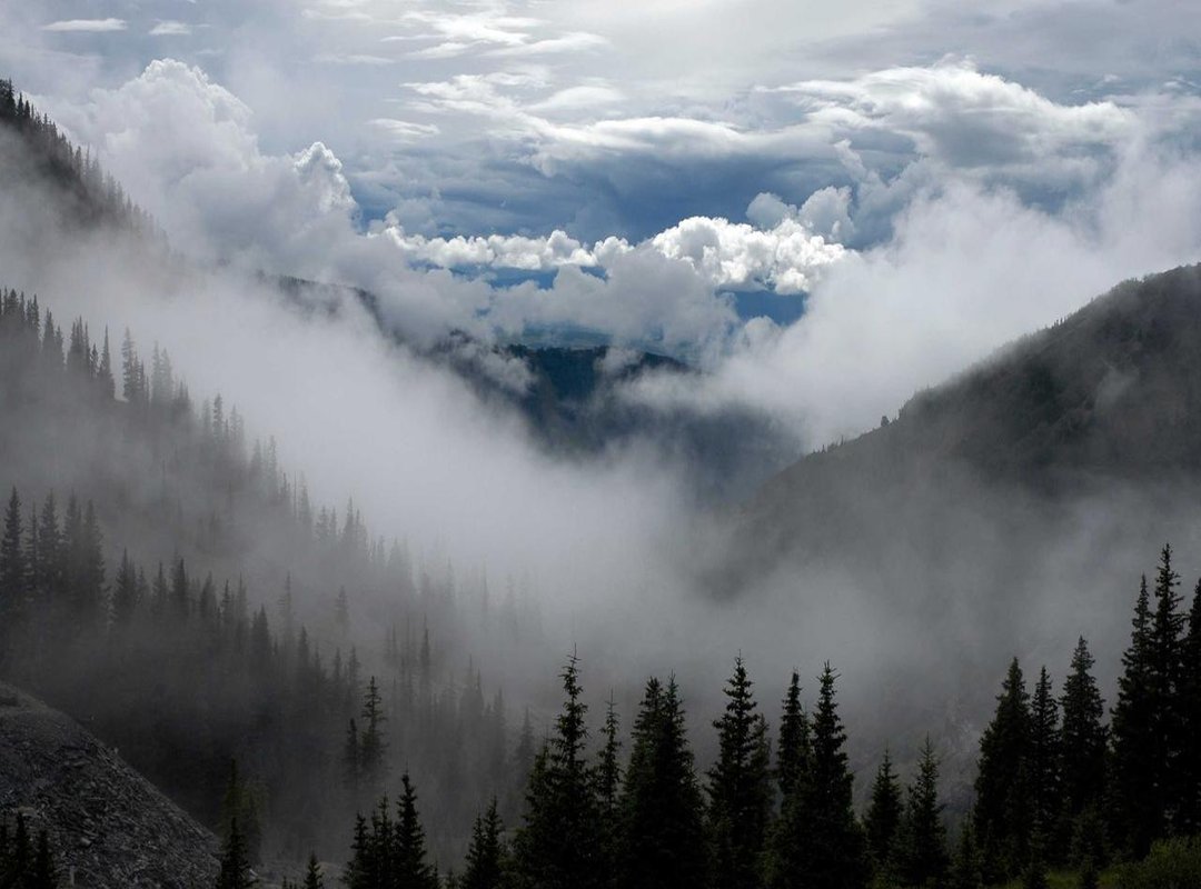 Critical Mistakes to Avoid When You Trade Eurax 100