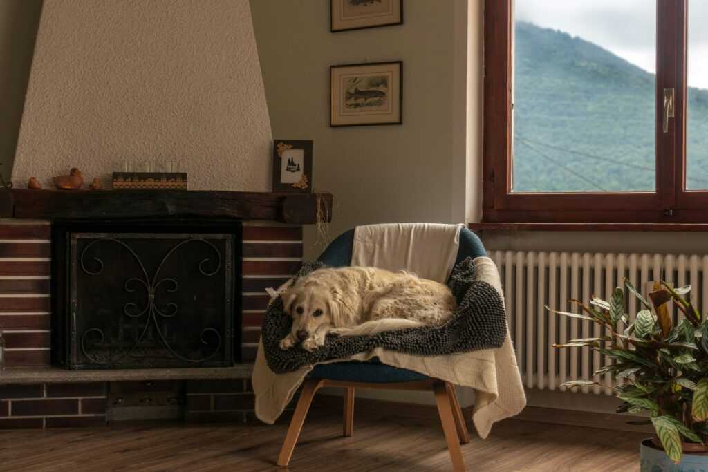 claudio carrozzo WnaR74AyNu4 unsplash