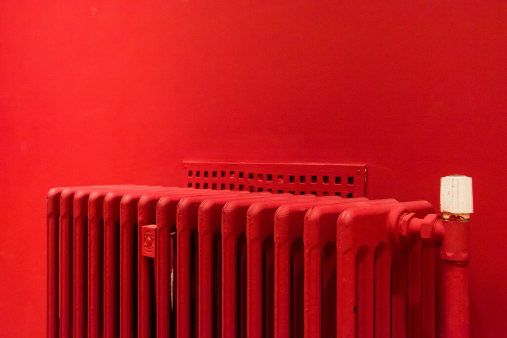 pexels-photo-11056184